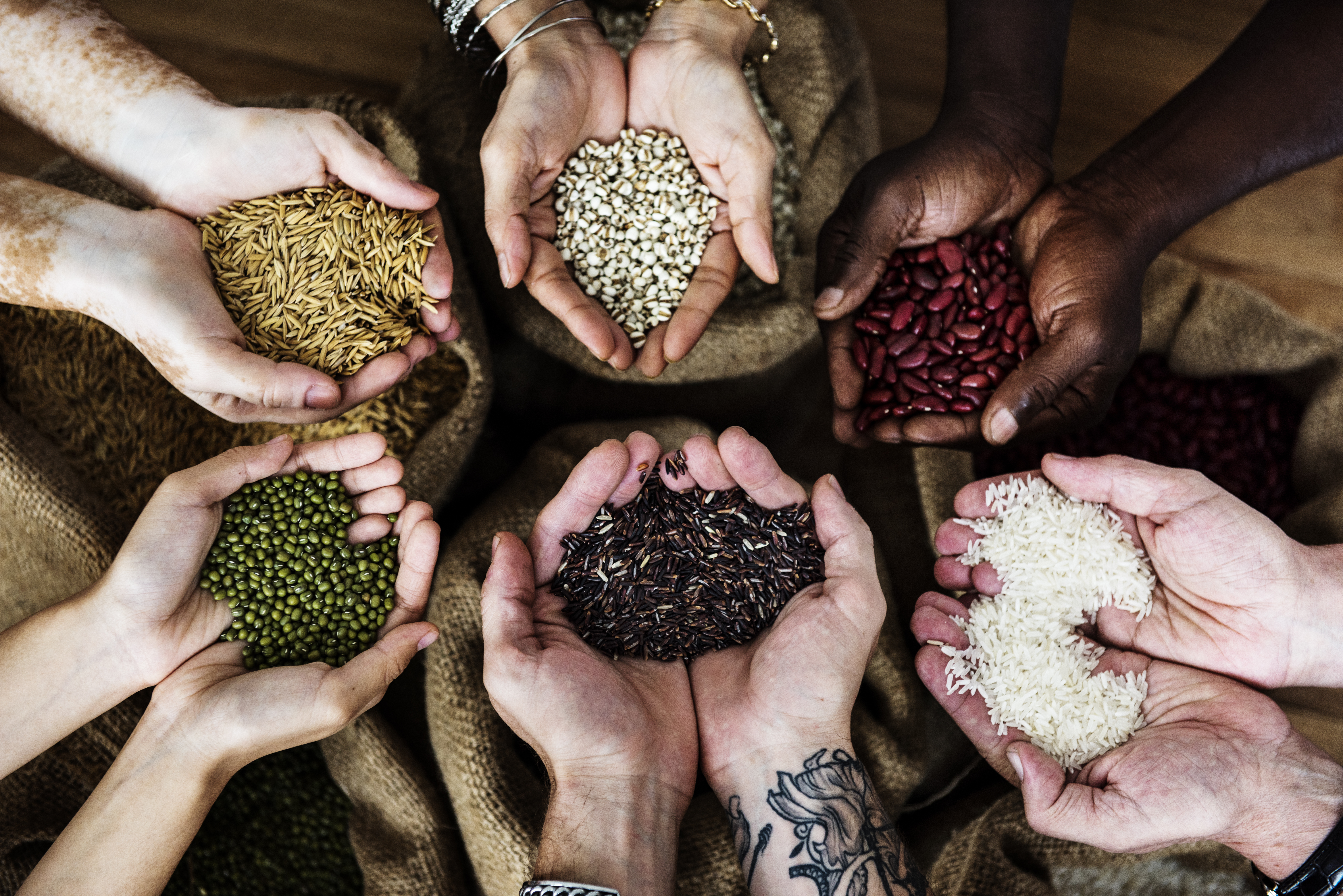 Quality Seeds