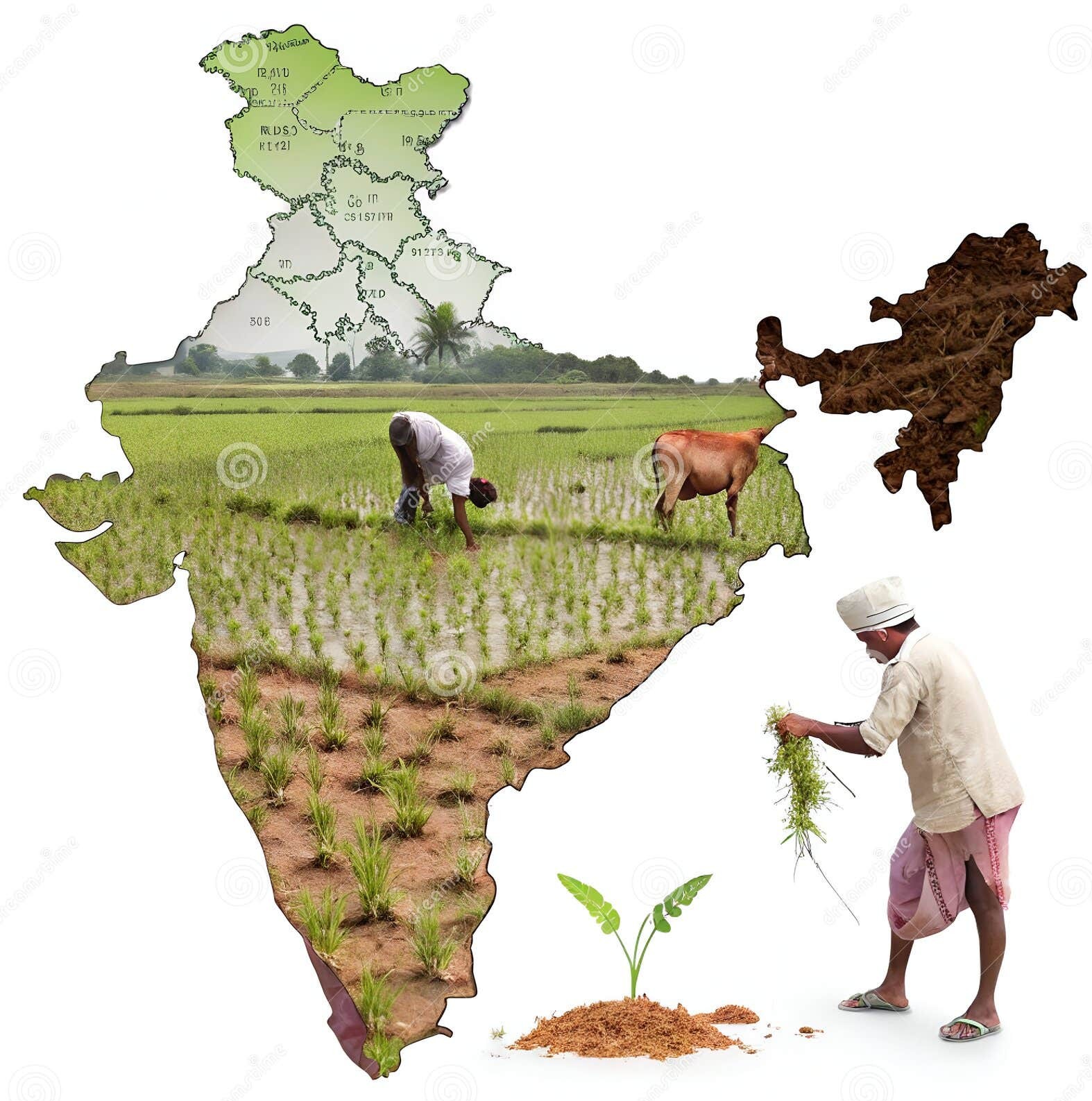 Agriculture Farmer